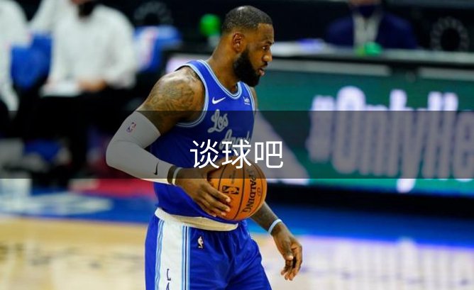 网站概况